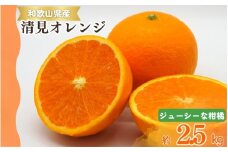 【予約】【ジューシー】清見オレンジ 2.5kg　※2026年3月下旬頃～2026年4月中旬頃に順次発送予定（お届け日指定不可）【uot832】