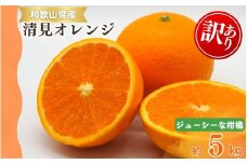 【ご家庭用訳アリ】紀州有田産清見オレンジ　5kg 	※2026年3月下旬頃〜2026年4月中旬頃に順次発送予定(お届け日指定不可)【uot833】