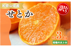 【ご家庭用訳あり】ジューシー柑橘 せとか 約3kg【先行予約】※2026年2月中旬頃〜2026年3月中旬頃発送予定（お届け日指定不可） せとか みかん ミカン 柑橘 フルーツ 果物 くだもの【uot834A】