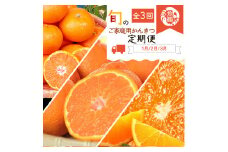 【全3回】紀州和歌山産旬のご家庭用柑橘セット(みかん・不知火・清見)【tkb411】