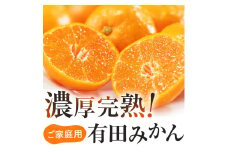 【10月発送】有田育ちのご家庭用完熟 有田みかん 10kg＋200g（傷み補償分）【ard197D-10】