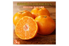 【先行予約】高級ブランド 秀品 紀州有田田村産みかん 3kg ※2025年12月頃〜2026年1月下旬頃に順次発送予定 / みかん ミカン 蜜柑 温州みかん 柑橘 フルーツ 果物 【uot848】
