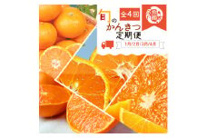 【4か月定期便】旬の柑橘定期便 / みかん ミカン 柑橘 オレンジ 果物 くだもの フルーツ フルーツ定期便 和歌山【tkb416】