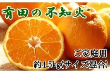 【先行予約】【濃厚】有田の不知火約4.5kgご家庭用向け（サイズ混合）※2026年2月中旬～2026年3月下旬頃発送予定 / みかん 有田みかん 柑橘 不知火 和歌山 ミカン オレンジ【tec989】 