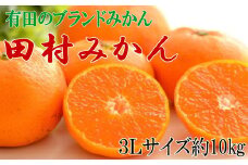 【ブランドみかん】田村みかん 大玉 約10kg (3Lサイズ)★2025年11月下旬～2025年12月下旬頃より順次発送【tecj1011】