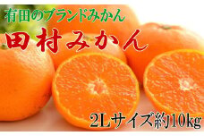 【ブランドみかん】田村みかん 約10kg (2Lサイズ)★2025年11月下旬～2025年12月下旬頃より順次発送【tecj1012】