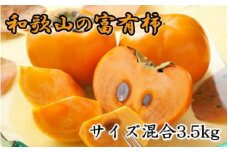 [甘柿の王様]和歌山産富有柿約3.5kgサイズ混合 / 柿 かき カキ フルーツ 果物 くだもの 和歌山  【tec980】