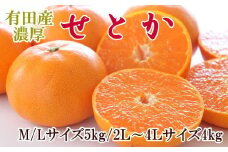  一度は食べていただきたい「有田産のせとか」約4～5kg（サイズおまかせ）※2026年2月中旬～2026年3月上旬頃に順次発送【tecj1024】 