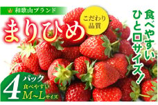 【先行予約】まりひめイチゴ4パック 食べやすいひと口サイズ M～L（15粒～20粒入×4パック）【2026年1月初旬～3月下旬頃に順次発送】（お届け日指定不可）/ いちご 苺 まりひめ 和歌山 フルーツ【kgr034】