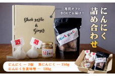 ニンニク製品詰め合わせ ロイヤルリノベーション株式会社《90日以内に出荷予定(土日祝除く)》和歌山県 紀の川市