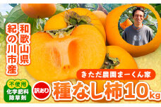 【訳あり】まーくん家のたねなし柿 10kg 《2025年9月下旬-10月末頃出荷》 かき 種なし きただ農園まーくん家 和歌山県 紀の川市 ご家庭用