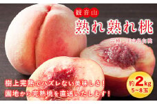 【先行予約】観音山熟れ熟れ桃（川中島白桃）2kg 有限会社柑香園《2026年7月下旬-8月下旬頃出荷》和歌山県 紀の川市 フルーツ 果物 桃