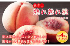 【先行予約】観音山熟れ熟れ桃（川中島白桃）4kg 有限会社柑香園《2026年7月下旬-8月下旬頃出荷》和歌山県 紀の川市 フルーツ 果物 桃