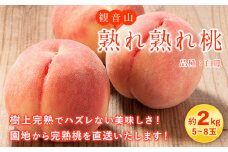 【白鳳】観音山熟れ熟れ桃 2kg 有限会社柑香園《2026年7月中旬-8月中旬頃出荷》和歌山県 紀の川市 フルーツ 果物 桃 はくほう 白鳳