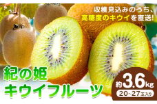 キウイ キウイフルーツ【2026年先行予約】紀の姫キウイフルーツ 約3.6kg (20-27玉入) JAわかやま 紀の里地域本部 《2026年1月上旬-2月末頃出荷》 和歌山県 紀の川市