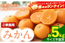 みかん【訳あり/ご家庭】先行予約 和歌山県産みかん 約5kg【サイズ混合】 サンファーム《10月上旬-1月下旬頃出荷》和歌山県 紀の川市