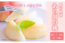 【2026年先行予約】あら川の桃 約1.5-2kg(6-8個) 橋村農園《2026年6月下旬～7月末頃出荷》和歌山県 紀の川市