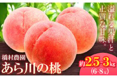 【予約受付】あら川の桃 大玉約2.5-3kg(6-8個) 橋村農園《2026年7月上旬-8月上旬頃出荷》和歌山県 紀の川市