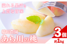 【予約受付】あら川の桃 大玉3個入り 橋村農園《2026年7月上旬-8月上旬出荷》和歌山県 紀の川市  人気 果物
