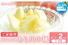 【2026年先行予約】あら川の桃 (ご家庭用) 約1.5-2kg (7-8個) 橋村農園《2026年6月下旬～8月上旬頃出荷》和歌山県 紀の川市