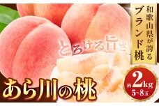  桃  トロっと とろける旨さ「ブランド桃」桃人気ランキングTOP10!!あら川の桃 約2kg(5-8玉入り) お届け時期に合わせた品種を厳選してお届け!《2026年6月中旬-8月中旬頃出荷》【一部配送不可地域あり】 
