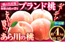 桃 ～とろっとジューシー「ブランド桃」～あら川の桃 約4kg(10-15玉入り) お届け時期に合わせた品種を厳選してお届けいたします！【先行予約】《2026年6月中旬-8月中旬頃出荷》 桃 2026年 先行 桃 先行予約2026 もも2026 もも 白鳳 先行予約