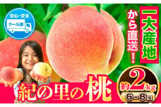 4年連続人気No.1!! 桃 もも～とろける甘さ～ 紀の里の桃 約2kg(6-8玉入り)《6月中旬-8月中旬頃出荷》先行 桃 先行予約 もも 白鳳 日川白鳳 八旗白鳳 清水白桃 川中島白桃 つきあかり もも 白鳳 先行予約 もも川中島