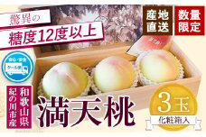 【先行予約】満天桃 3玉(5Lサイズ以上) 糖度12度以上 特秀品 八旗農園《2026年7月下旬-8月下旬ごろ出荷》 和歌山県 紀の川市 桃山町 もも モモ 果物 フルーツ