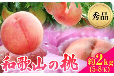 【先行予約】和歌山県産桃（もも） 約2kg 5～8玉秀品 前商店《2026年6月中旬-7月中旬頃出荷》産地直送 もも モモ 果物 フルーツ