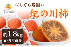 【予約受付】紀の川柿 約1.8kg 和歌山県特産果肉の黒い柿！※秀品（6個～9個入り　にしぐち農園《10月下旬-10月末出荷》和歌山県 紀の川市 産地直送