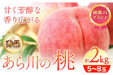 桃 秀品 和歌山のブランド桃 あら川の桃【先行予約】「あら川の桃」約2kg（5玉～8玉）《2026年6月下旬-7月中旬頃出荷》 紀の川市厳選館 和歌山県 紀の川市白桃 清水白桃 川中島白桃 黄金桃 桃 あら川の桃 ブランド桃  紀の川市桃 和歌山桃