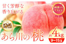 桃 秀品 和歌山のブランド桃 あら川の桃【先行予約】「あら川の桃」約4kg (9～15玉)《2026年6月下旬-7月中旬頃出荷》 紀の川市厳選館 和歌山県 紀の川市 紀の川市白桃 清水白桃 川中島白桃 黄金桃 桃 あら川の桃 ブランド桃  紀の川市桃 和歌山桃