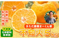紀の川市不知火 まーくん家の不知火 5kg きただ農園まーくん家《2月末-3月下旬頃出荷》和歌山県 紀の川市 柑橘 化学肥料・除草剤不使用 しらぬい