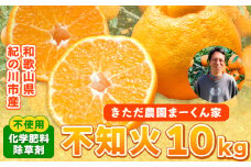 紀の川市不知火 まーくん家の不知火 10kg きただ農園まーくん家《2月末-3月下旬頃出荷》和歌山県 紀の川市 柑橘 化学肥料・除草剤不使用 しらぬい