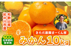 まーくん家のみかん 10kg 《11月中旬-12月中旬頃出荷》 和歌山県 紀の川市 柑橘 きただ農園まーくん家 化学肥料・除草剤不使用