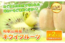 和歌山県産キウイフルーツ約2kg(サイズおまかせ)・秀品 紀の川市厳選館 【2026年先行予約】《2025年11月下旬-2026年4月中旬頃出荷予定》 和歌山県 紀の川市 果物 フルーツ キウイ
