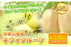 【先行予約】和歌山県産キウイフルーツ約3.6kg(サイズおまかせ)・秀品 紀の川市厳選館 《11月下旬-4月中旬頃出荷予定》 和歌山県 紀の川市 果物 フルーツ キウイ