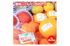 フルーツセット 観音山フルーツ詰め合わせ(シルバー) 約3kg 有限会社柑香園 《60日以内に出荷予定(土日祝除く)》 和歌山県 紀の川市 フルーツ 果物