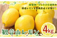 観音山レモン 4kg(30玉-40玉前後) 有限会社柑香園【先行予約】《2025年10月中旬-2026年3月末頃出荷》和歌山県 紀の川市 フルーツ 果物 柑橘 檸檬 レモン