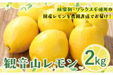 観音山レモン 2kg(約16玉-20玉) 有限会社柑香園【先行予約】《2025年10月中旬-2026年3月末頃出荷》和歌山県 紀の川市 フルーツ 果物 柑橘 檸檬 レモン