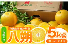 【先行予約】はっさく 八朔約5kg(3L-Lサイズ) JAわかやま 紀の里地域本部 《2026年1月上旬-3月末頃出荷》 和歌山県 紀の川市 果物 フルーツ 柑橘 はっさく