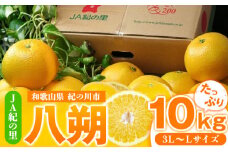 【先行予約】八朔約10kg(3L-Lサイズ)JAわかやま 紀の里地域本部 《2026年1月上旬-3月末頃出荷》 和歌山県 紀の川市 果物 フルーツ 柑橘 はっさく