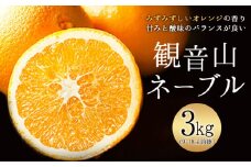 ネーブル 【先行予約】観音山ネーブル 3kg (約9玉-18玉前後) 有限会社柑香園【先行予約】《2026年2月中旬-3月中旬頃出荷》和歌山県 紀の川市 フルーツ 果物 柑橘 ネーブル