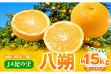【先行予約】八朔 ネット入 約15kg 3L-Lサイズ JAわかやま 紀の里地域本部 《2026年1月上旬-3月末頃出荷》 和歌山県 紀の川市