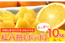 【先行予約】はっさく 八朔 紅八朔(ポッポ) 10kg(3L-Lサイズ) JAわかやま 紀の里地域本部 《2026年3月中旬-3月末頃出荷》 和歌山県 紀の川市 果物 フルーツ 柑橘 はっさく