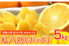 【先行予約】はっさく 八朔 紅八朔(ポッポ) 5kg(3L-Lサイズ) JAわかやま 紀の里地域本部 《2026年3月中旬-3月末頃出荷》 和歌山県 紀の川市 果物 フルーツ 柑橘 はっさく