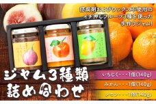 ジャム3種類（みかん・いちじく・レモン）詰合せ 有限会社柑香園 《90日以内に出荷予定(土日祝除く)》 和歌山県 紀の川市 フルーツ 果物 柑橘 みかん レモン イチジク いちじく 送料無料