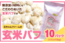 玄米パフ(10パック入り) 1パック35g 自然で優しい素朴なスナック菓子 元ちゃんファーム《90日以内に出荷予定(土日祝除く)》 和歌山県 紀の川市 玄米 パフ 送料無料