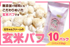 玄米パフ(10パック入り) 1パック35g 自然で優しい素朴なスナック菓子 元ちゃんファーム《90日以内に出荷予定(土日祝除く)》 和歌山県 紀の川市 玄米 パフ 送料無料
