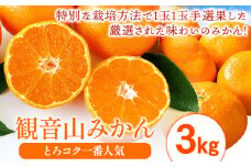 みかん 先行予約 観音山みかん(とろコク一番人気) 3kg 有限会社柑香園《2025年11月中旬-1月下旬頃出荷》和歌山県 紀の川市 フルーツ 果物 柑橘 みかん